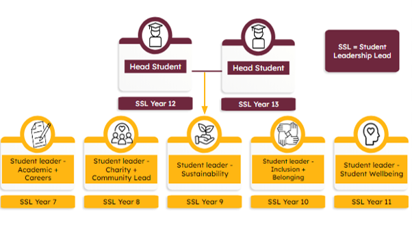 Senior Structure 24 25