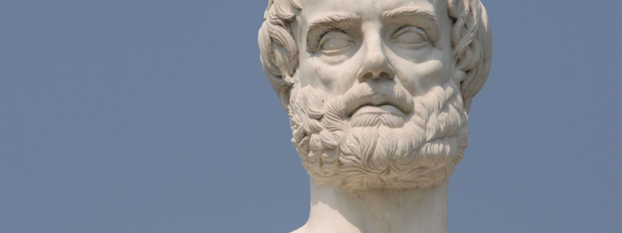 Header Image 1